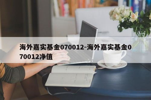 海外嘉實基金070012 凈值解析與計算機維修服務的跨界思考